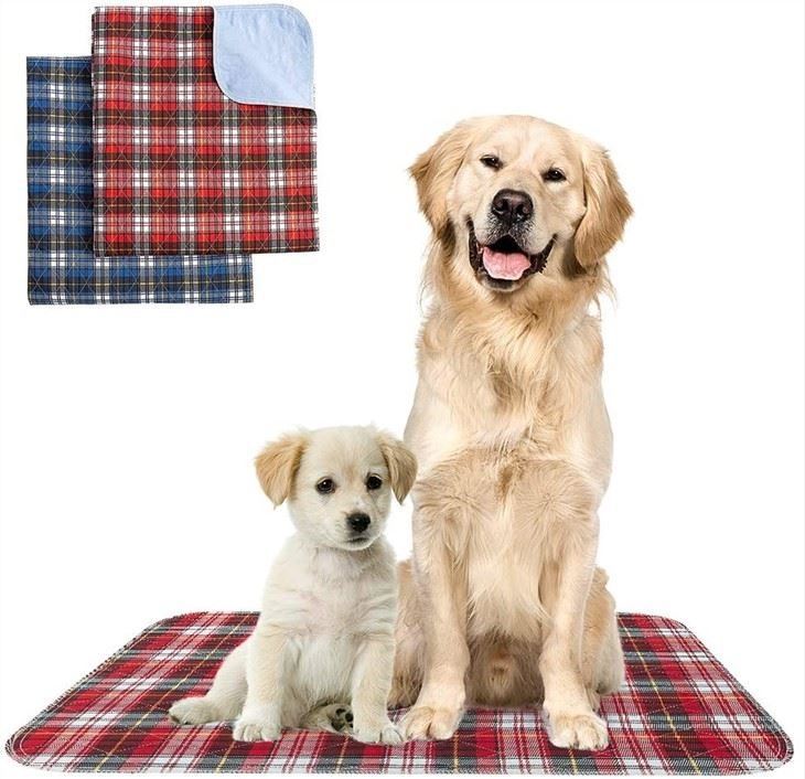 Print Dog Training Pee Pad