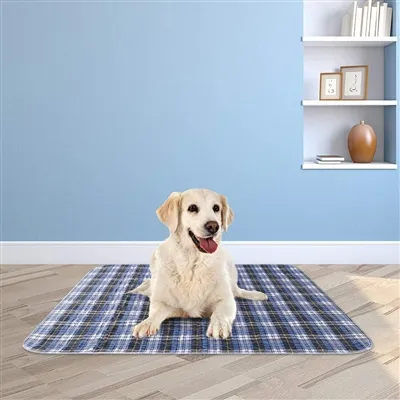 Tapis d'urine réutilisables : révolutionner les soins aux animaux de compagni...