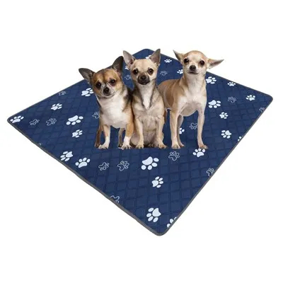 Tapis pipi réutilisables pour chiens